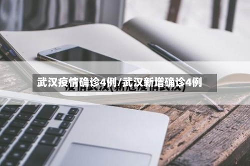 武汉疫情确诊4例/武汉新增确诊4例
