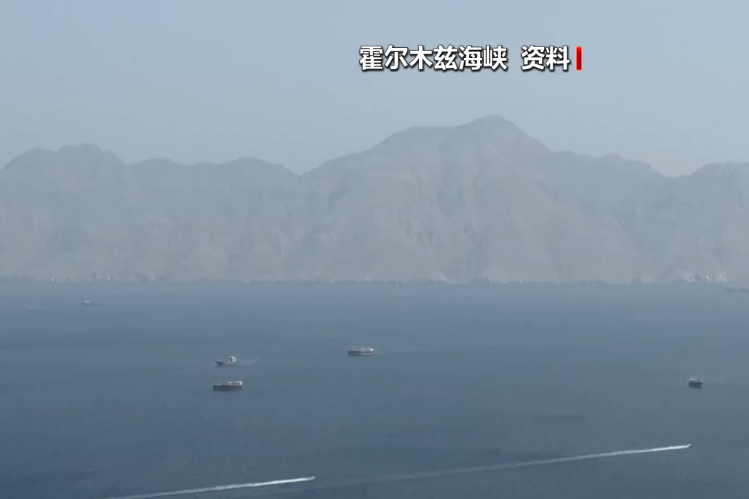霍尔木兹大消息，伊朗宣布：通行船只须提交申请	，60天内免费，相关费用由伊朗政府承担！德国派军舰前往中东